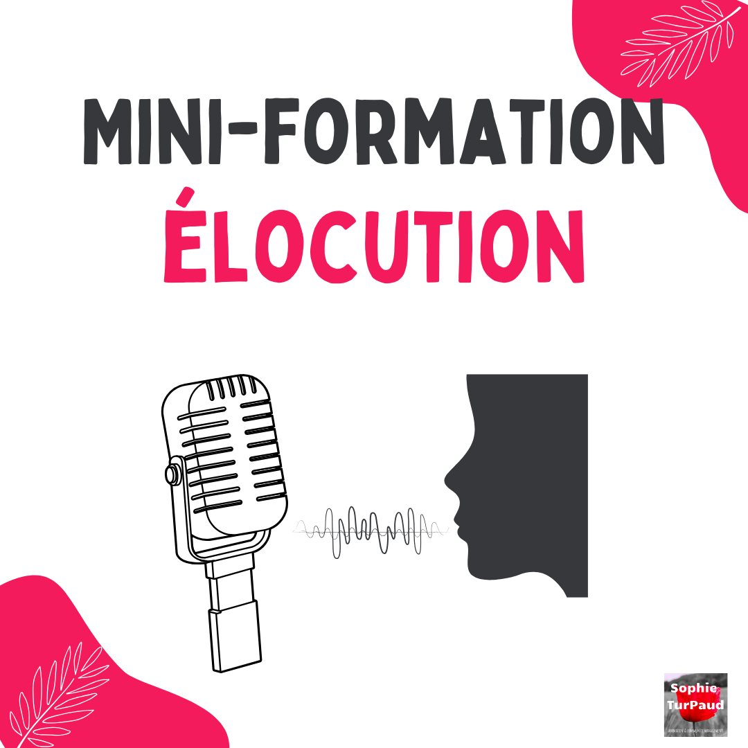 Mini formation Elocution : Les soft skills avec 8 techniques pour ...